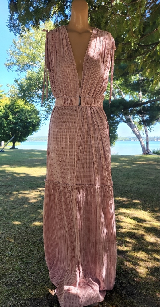 Sabina Musayev Blush Pink Maxi Dress with Plunging V-Neck